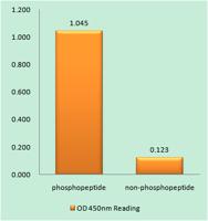 PAKα (phospho Ser199) Polyclonal Antibody