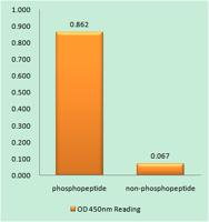 PAKβ (phospho Ser154) Polyclonal Antibody