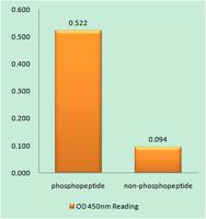 Parkin (phospho Ser131) Polyclonal Antibody