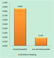 p53 (phospho Ser378) Polyclonal Antibody