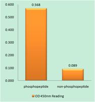 Adducin α/β (phospho Ser726/713) Polyclonal Antibody