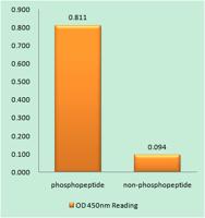 Mnk1 (phospho Thr250) Polyclonal Antibody