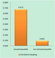 mTOR (phospho Ser2481) Polyclonal Antibody