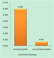 IL-9R (phospho Ser519) Polyclonal Antibody