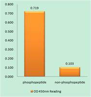 IPP-2 (phospho Ser120/S121) Polyclonal Antibody