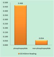 Bax (phospho Ser184) Polyclonal Antibody