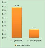 Mcl-1 (phospho Ser159) Polyclonal Antibody