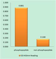 Caspase-9 (phospho Thr125) Polyclonal Antibody