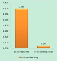 CENP-A (phospho Ser7) Polyclonal Antibody