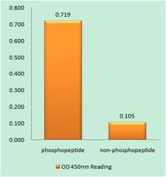 Op18 (phospho Ser62) Polyclonal Antibody