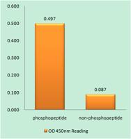 Smad2 (phospho Ser250) Polyclonal Antibody