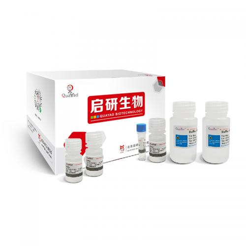 病毒基因组DNA/RNA提取试剂盒 Virus Genomic DNA/RNA Kit