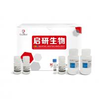 血液基因组DNA小量提取试剂盒 Blood Genomic DNA Miniprep Kit