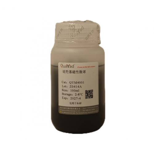 硅羟基磁性微球 DNA纯化磁珠 MagBeads