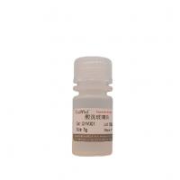 酸洗玻璃珠（100μm）