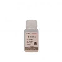 酸洗玻璃珠（200μm-400μm ）