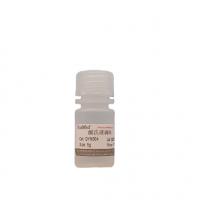 酸洗玻璃珠（400μm-600μm ）