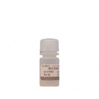 酸洗玻璃珠（600μm-800μm ）