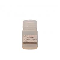 酸洗玻璃珠（600μm-800μm ）