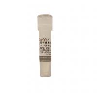 氨苄青霉素储存液（1000x）100mg/ml Ampillin sodium salt Solution 1000x
