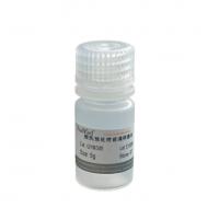 酸洗预处理玻璃研磨珠（425μm-600μm ）
