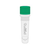 QY qPCR SYBR Green Fast Mix