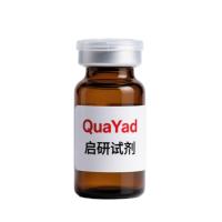 即用型三溴乙醇溶液（阿佛丁，1.25%）